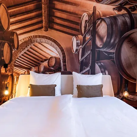 Dormio Wijnhotel Valkenburg Hotel Valkenburg aan de Geul