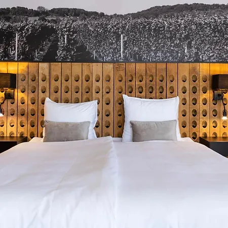 Dormio Wijnhotel Valkenburg 4* ファルケンブルフ