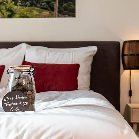 Hotel Dormio Wijnhotel Valkenburg