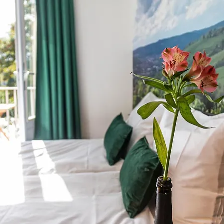 ホテル Dormio Wijnhotel Valkenburg 4*