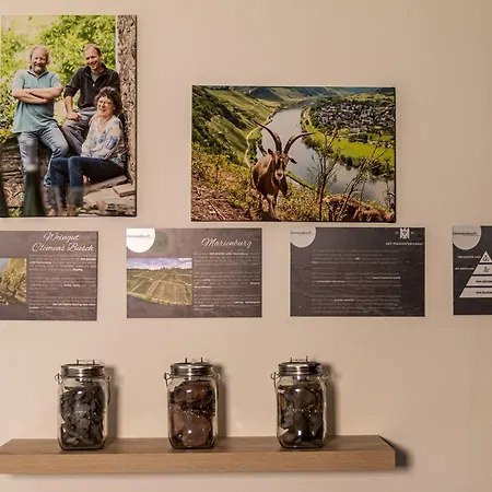 ホテル Dormio Wijnhotel Valkenburg 4*