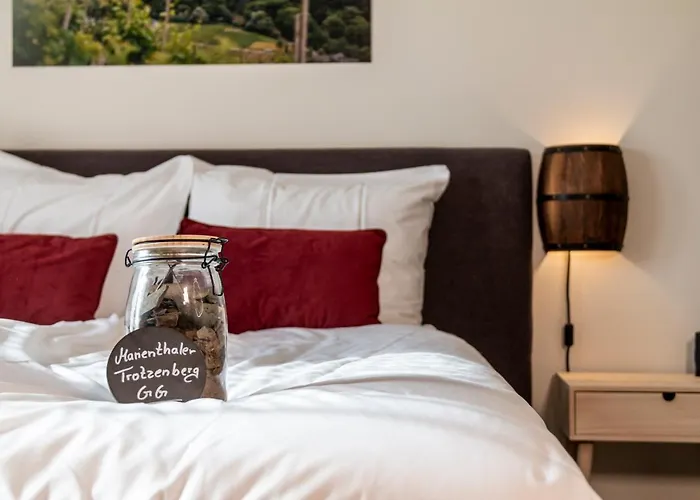 Otel Dormio Wijnhotel Valkenburg